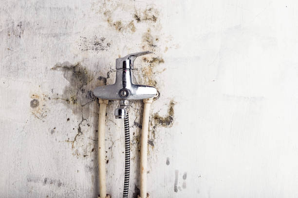Trusted Westport Village, CT Mold Removal Experts