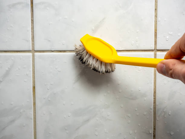 Best Local Mold Removal Service  in Westport Village, CT
