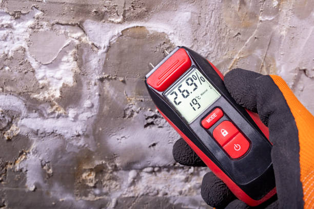 Best Mold Removal Specialists  in Westport Village, CT