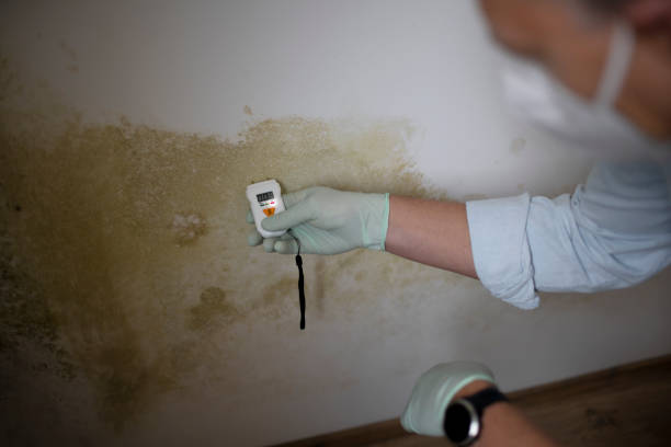 Crawl Space Mold Removal in Westport Village, CT